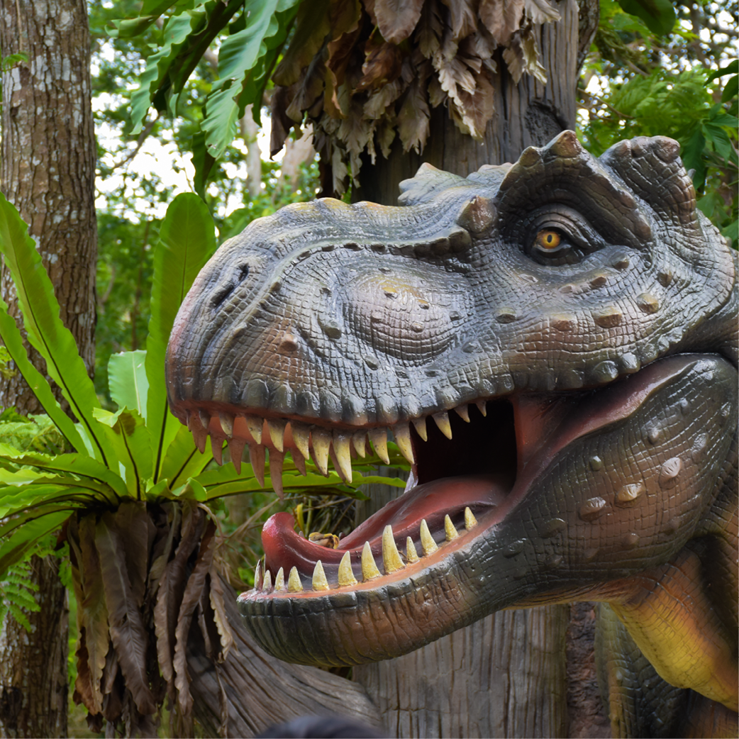 GBW Website Squares3